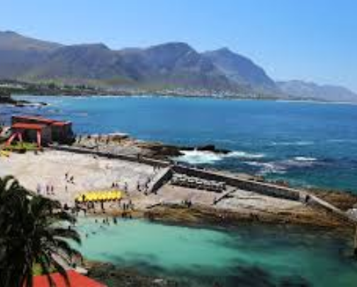 Cape Town Coastal Adventure: From Blouberg sunsets to whale watching in Hermanus. cover photo collage