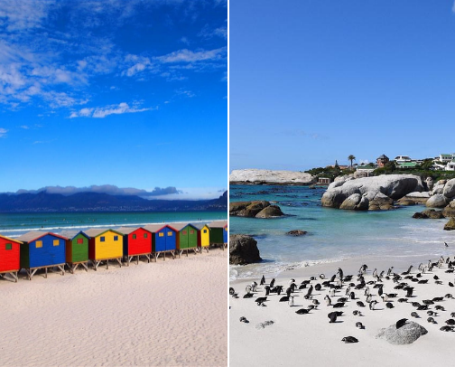 Cape Town Coastal Adventure: From Blouberg sunsets to whale watching in Hermanus. cover photo collage