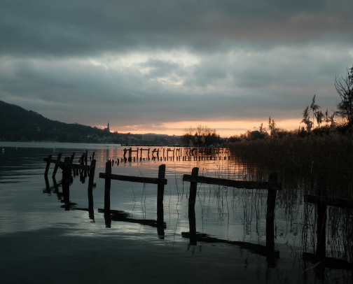 Essential Gear for the Quiet Observer cover photo collage