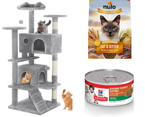 your cats deserve the best… so heres a list for them cover photo collage