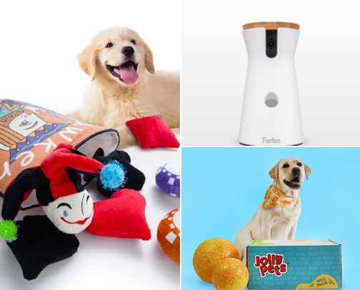 Pet Must Haves cover photo collage