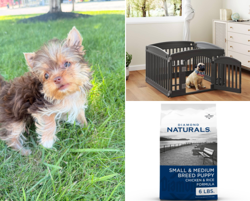 🐾 First Puppy Essentials | Everything You Need for Your New Fur Baby! cover photo collage