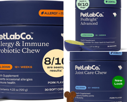 Best Products for Pitbull Owners 🐶 🦴 cover photo collage
