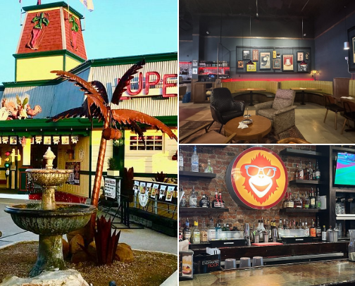 My top recs cover photo collage