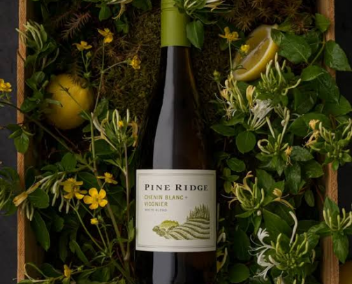 ☀️ Refreshing Porch Pounders (Under $20) | Best Cheap White Wines cover photo collage