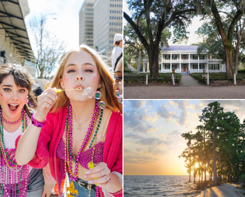 Things to Do in Louisiana Ya’ll 🦞 cover photo collage