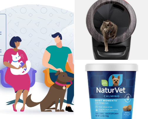 Best Pet Insurance Plans 2026: Compare Free Quotes for Dogs & Cats cover photo collage