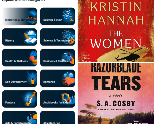 eBooks I enjoyed in 2025 cover photo collage