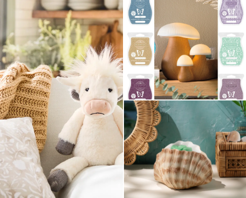 Can’t live without my Scentsy cover photo collage