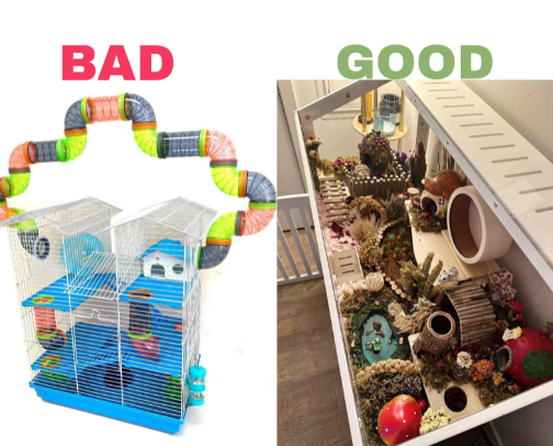 Essentials For Building A Proper Hamster Enclosure And Cage Setup (Beginner’s Guide) cover photo collage