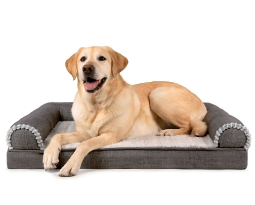 32 ways to show your furry friend some love cover photo collage