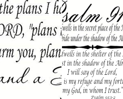 Our Top 13 Best-Sellers in our Scripture Category cover photo collage