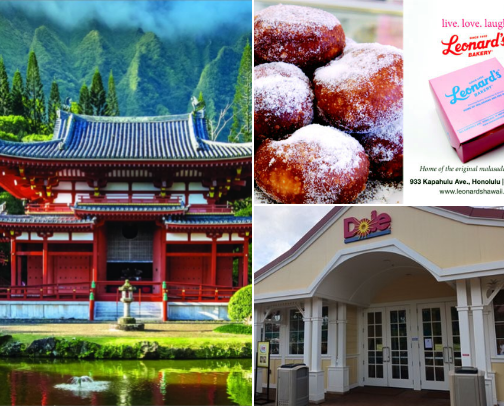 Hawaii to do’s cover photo collage