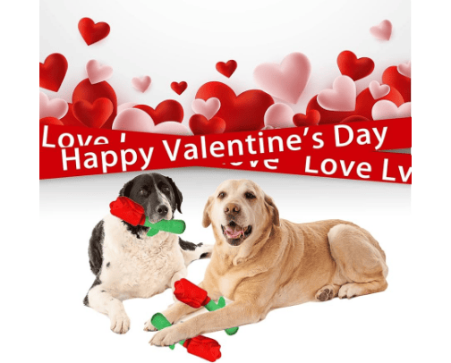 Doggie Valentine's Day Goodies cover photo collage