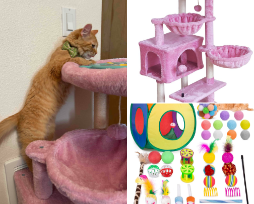 My favorite products for my cat as a cat mom cover photo collage
