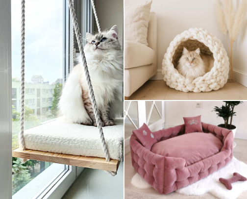 Fashion and luxury for pets cover photo collage