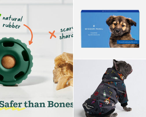 Dog mama must haves cover photo collage