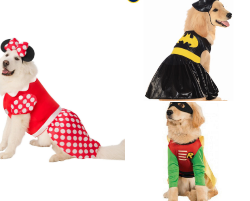 Halloween Pet Costumes cover photo collage