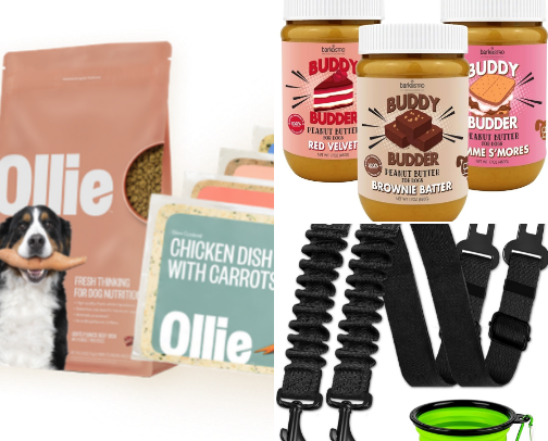 Favorite Things for My Dog cover photo collage