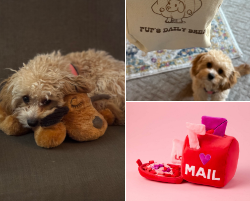 Everyday Puppy Essentials for Work-From-Home Dog Parents cover photo collage