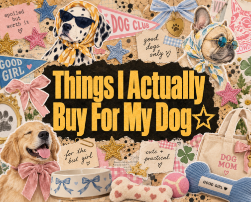 Things I Actually Buy for My Dog☆ cover photo collage