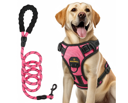 Pet Owner Essentials cover photo collage