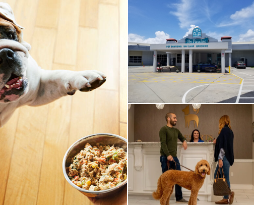 Dog Essentials (Winston's Picks) cover photo collage