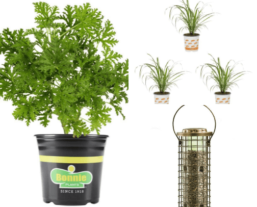 Goodies for the Home cover photo collage