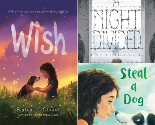 Chapter Books cover photo collage