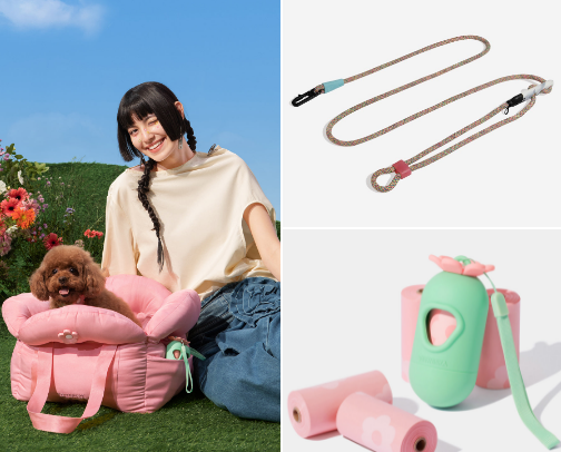 Pup Proof: Cutr things my dogs hadn't destroyed (yet) cover photo collage