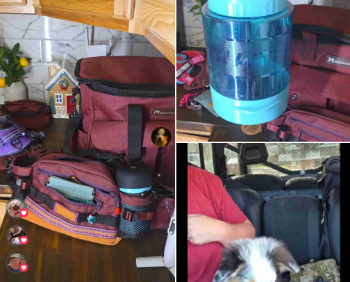 Travel Essentials 🛫🛤🧳 cover photo collage