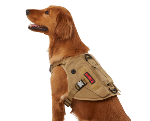 Essential KONG® Dog Gear & Safety Products cover photo collage