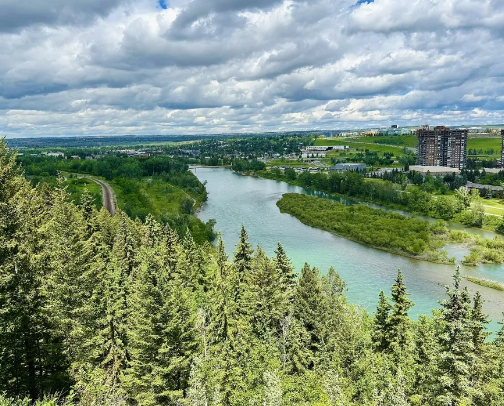 Stay active and enjoy nature all year round in Calgary🌳🌲 cover photo collage
