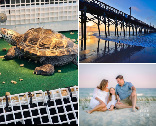 🌊 Family Fun Things to Do in Surf City, NC cover photo collage