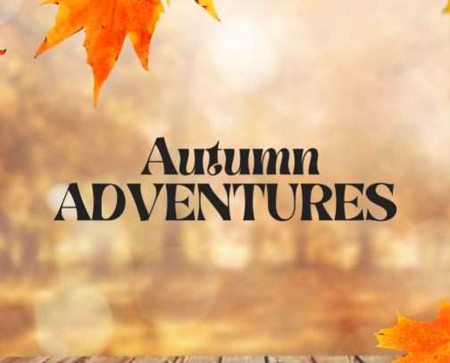 FALL ACTIVITIES cover photo collage