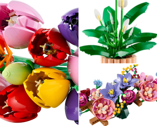 Adult Flower Sets Worth Displaying cover photo collage