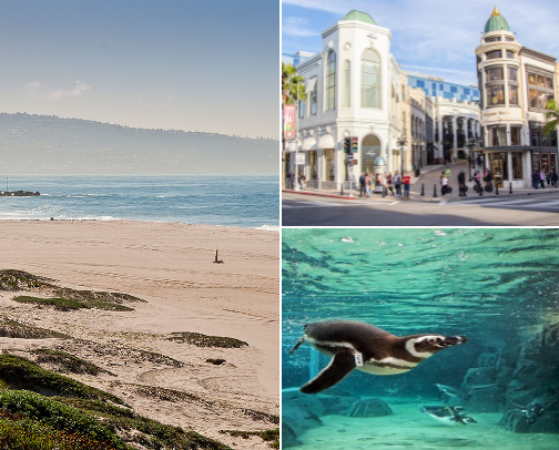 Things to do near LAX ✈️✨ cover photo collage