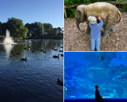 My top places to visit with a toddler. cover photo collage