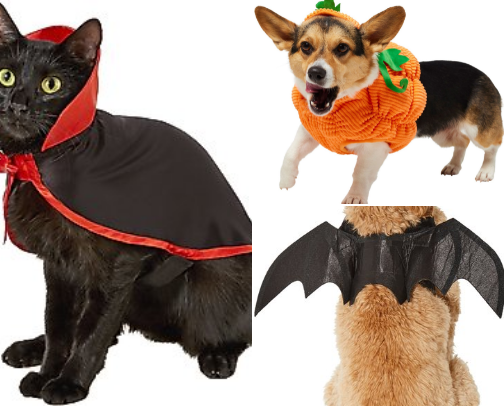 Spooky Season Cat Faves cover photo collage