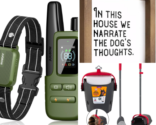 One Spoiled Goldendoodle Lives Here! cover photo collage