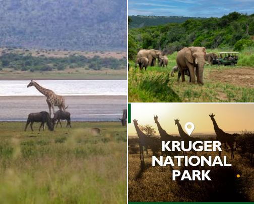 The Ultimate South African Escape cover photo collage