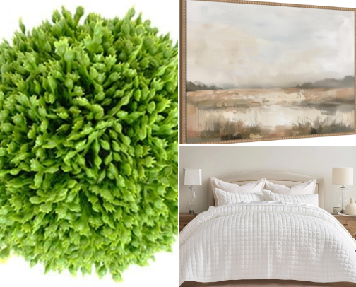 🌿Elevated Home Staging Decor cover photo collage