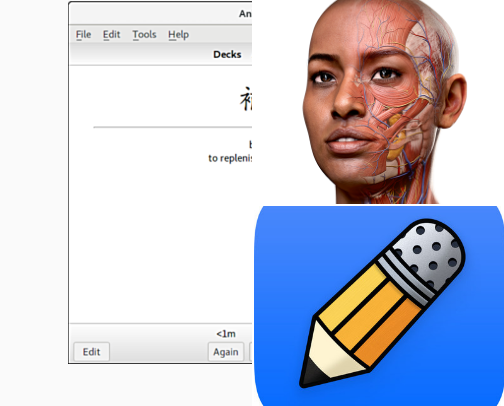 Student Essentials cover photo collage