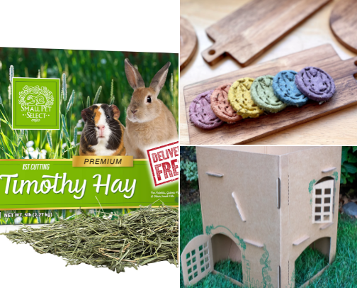 Best Safe-for Rabbit and Small Pet Items cover photo collage