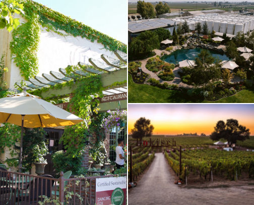 Places to Visit & Things to do - Lodi, CA cover photo collage
