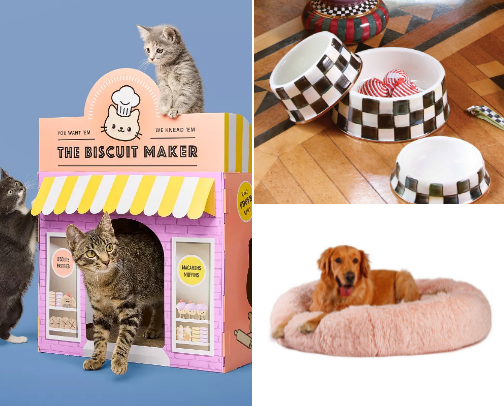 2025 Pet Favorites 🐶🐱🐠🐍 cover photo collage