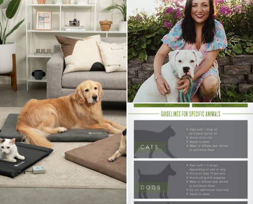 Pet recs cover photo collage