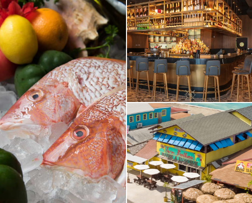 Nassau, Bahamas | Things To Do cover photo collage