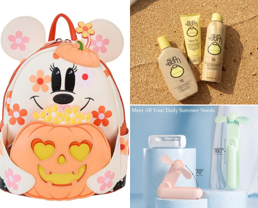 Theme Park Essentials cover photo collage