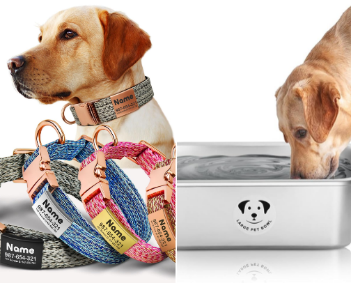 Dog Stuff cover photo collage